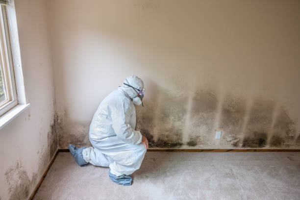 Forensic Mold Investigation in Eleanor, WV